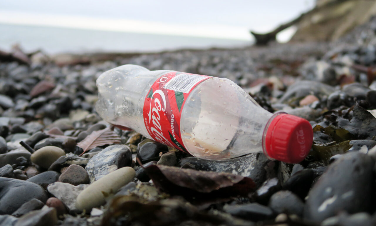 Is Coca-Cola’s sponsorship of COP27 greenwashing?