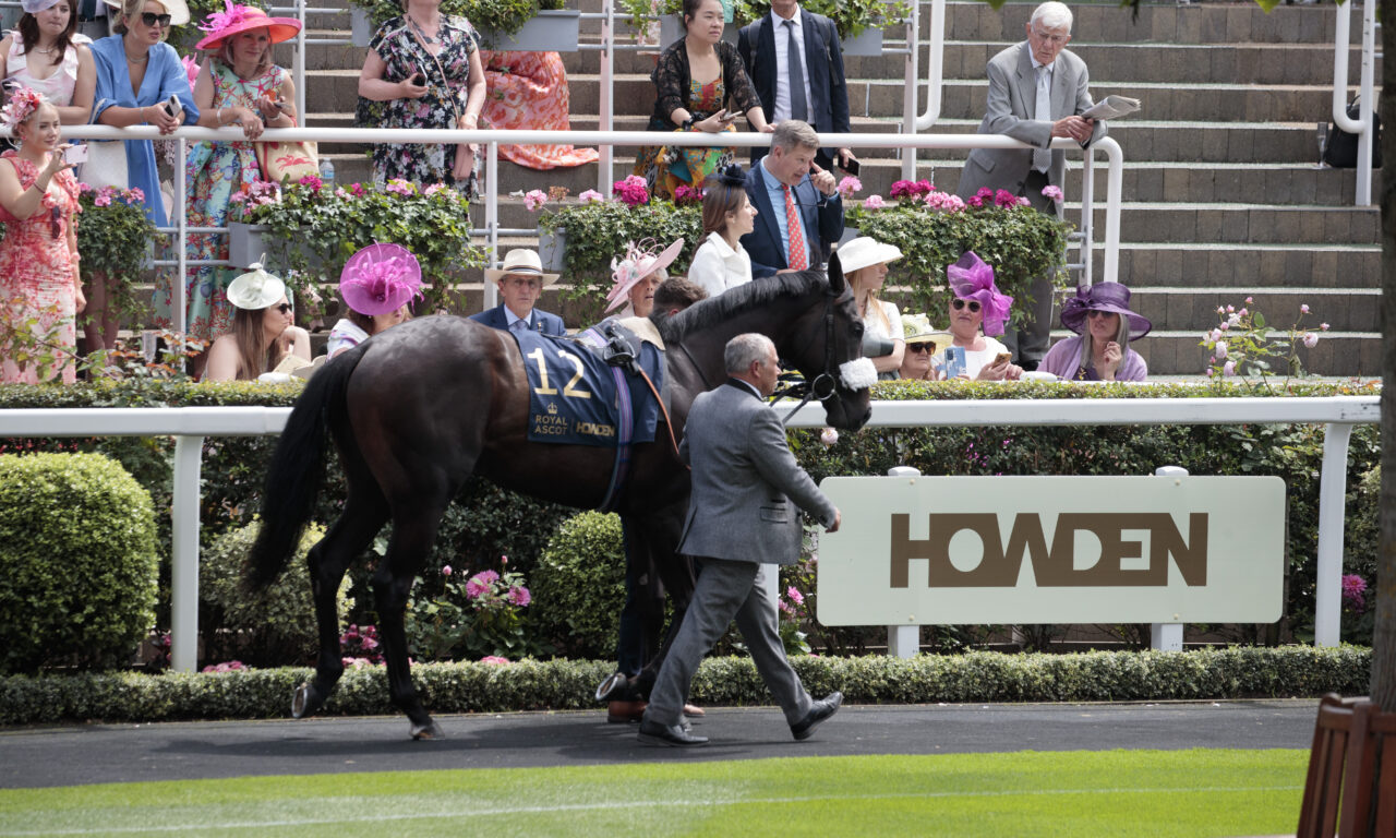 Howden’s Rachel Woodward on the power of hospitality in B2B sponsorship